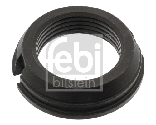 Nut, input shaft (differential)